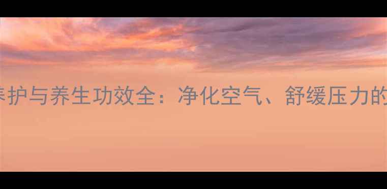 碧玉椒草家庭养护与养生功效全净化空气舒缓压力的天然绿植指南