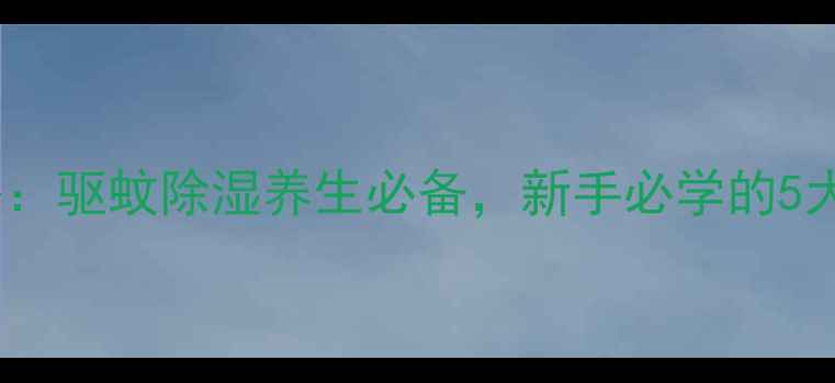 碰碰香养殖全攻略驱蚊除湿养生必备新手必学的5大技巧与养护禁忌