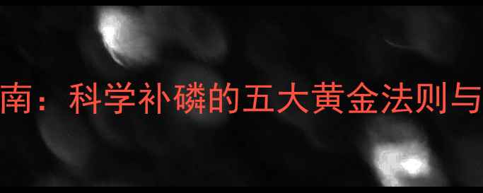 磷元素养生指南科学补磷的五大黄金法则与日常食补秘籍