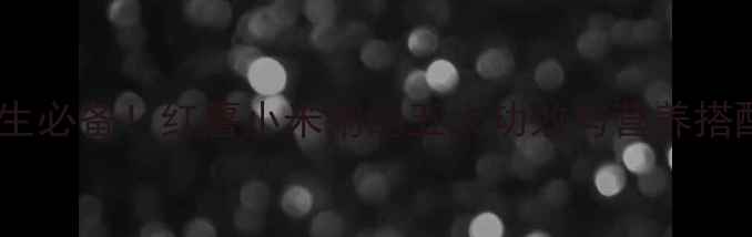 秋冬养生必备红薯小米粥的五大功效与营养搭配指南