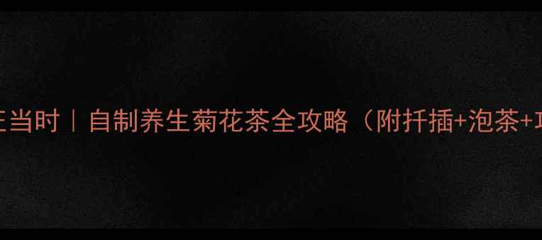 秋日养菊正当时自制养生菊花茶全攻略附扦插泡茶功效指南