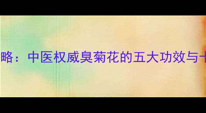秋菊养生全攻略中医权威臭菊花的五大功效与十种经典用法