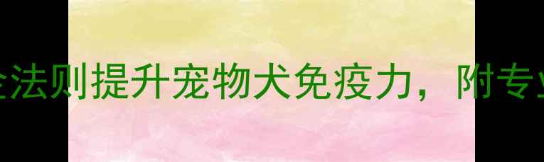 科学养护指南5大黄金法则提升宠物犬免疫力附专业食谱与疫苗护理方案