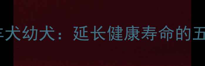 图片 科学养护牧羊犬幼犬：延长健康寿命的五大养生法则2