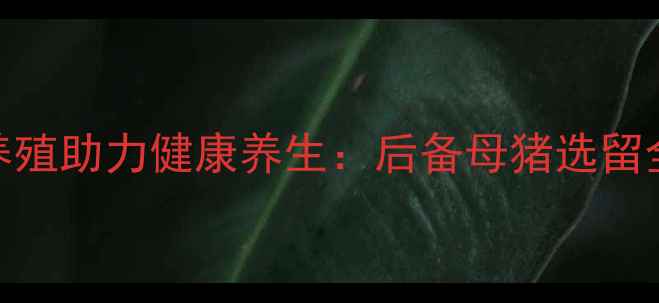 科学养殖助力健康养生后备母猪选留全攻略