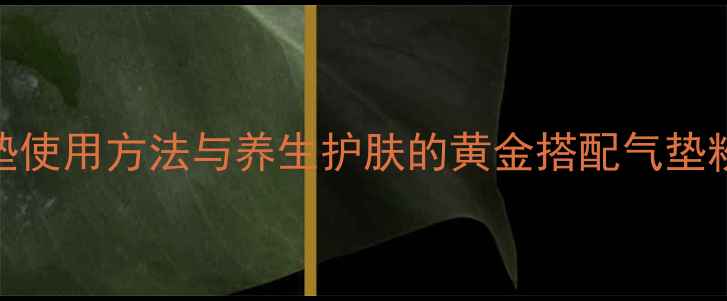 图片 科学养肤指南圣罗兰气垫使用方法与养生护肤的黄金搭配气垫粉底如何打造健康透亮肌