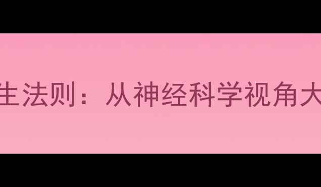 图片 科学护脑的5大养生法则：从神经科学视角大脑皮层健康密码2