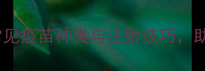 科学接种指南常见疫苗种类与注射技巧助您守护全家健康