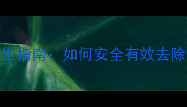 科学脱毛养生指南如何安全有效去除体毛不伤肤