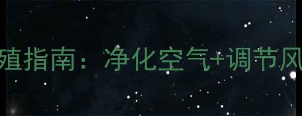 竹子盆栽的养生功效及家庭养殖指南净化空气调节风水延年益寿的立体养护方案