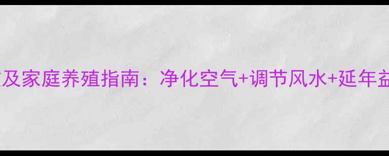 图片 竹子盆栽的养生功效及家庭养殖指南：净化空气+调节风水+延年益寿的立体养护方案2