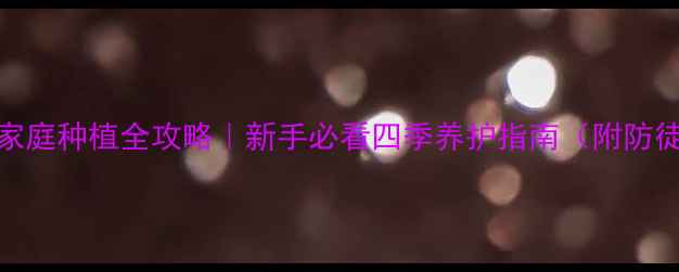 紫元宝花家庭种植全攻略新手必看四季养护指南附防徒长秘籍