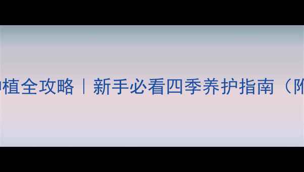 图片 紫元宝花家庭种植全攻略｜新手必看四季养护指南（附防徒长秘籍）1