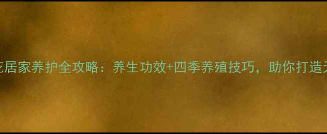 图片 紫元宝花居家养护全攻略：养生功效+四季养殖技巧，助你打造天然氧吧