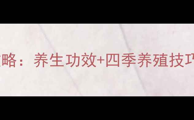 紫元宝花居家养护全攻略养生功效四季养殖技巧助你打造天然氧吧