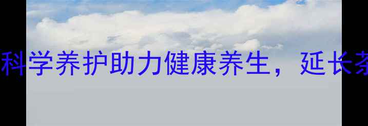 紫砂壶保养有讲究科学养护助力健康养生延长茶具寿命的五大秘诀