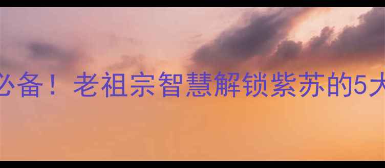 图片 紫苏功效与作用及禁忌｜养生必备！老祖宗智慧解锁紫苏的5大妙用+3大禁忌，这样用才有效