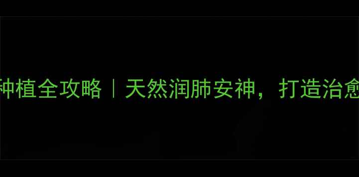 紫茉莉种子种植全攻略天然润肺安神打造治愈系家居园艺
