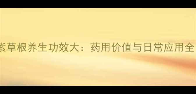 紫草根养生功效大药用价值与日常应用全