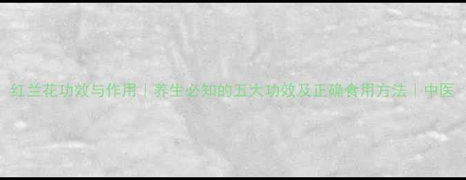 红兰花功效与作用养生必知的五大功效及正确食用方法中医