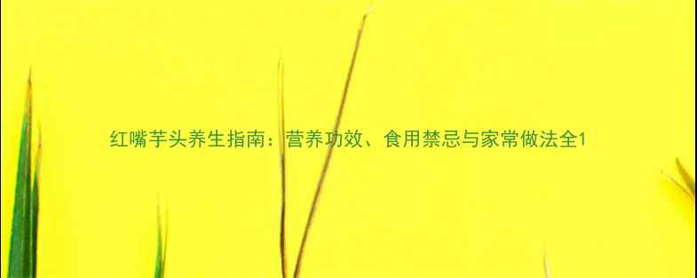 图片 红嘴芋头养生指南：营养功效、食用禁忌与家常做法全1