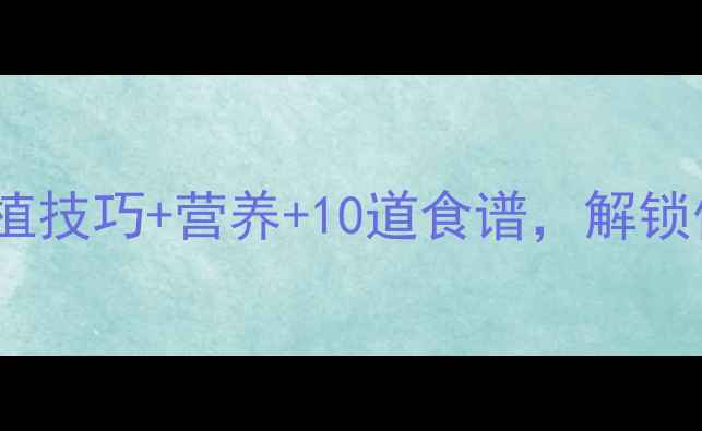红小豆养生全攻略种植技巧营养10道食谱解锁低卡高纤的养生宝藏