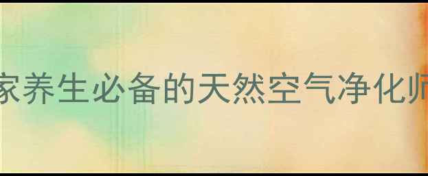 红掌养护全攻略居家养生必备的天然空气净化师养出健康好气色