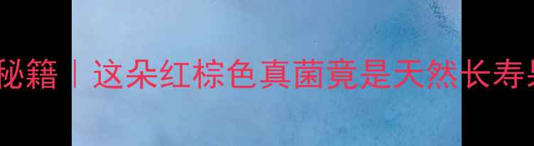 红缘层孔菌养生秘籍这朵红棕色真菌竟是天然长寿果的隐藏版本