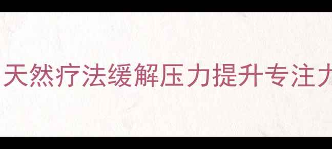 纸浮雕花卉制作天然疗法缓解压力提升专注力的养生手工指南