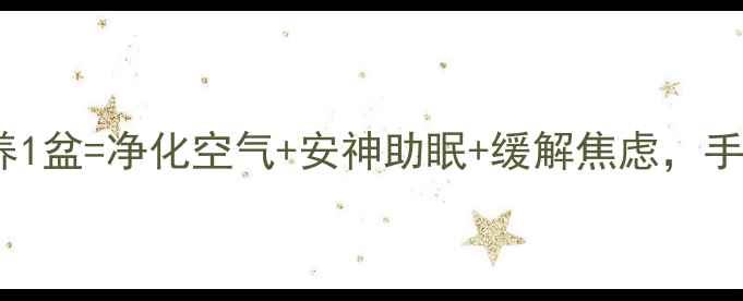 细叶雪茄花天然氧吧养1盆净化空气安神助眠缓解焦虑手把手教你打造养生花房