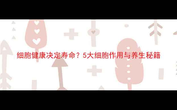 细胞健康决定寿命5大细胞作用与养生秘籍