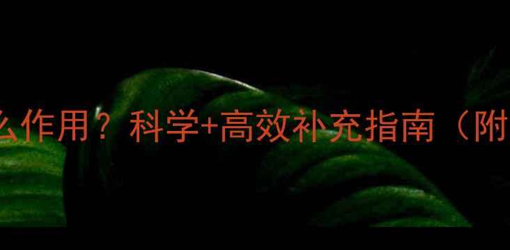 图片 维生素D3有什么作用？科学+高效补充指南（附每日摄入量）1