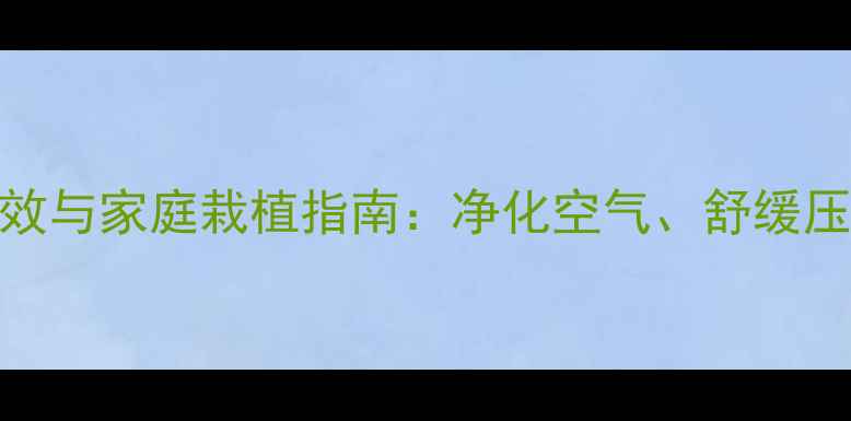 图片 绿萝的养生功效与家庭栽植指南：净化空气、舒缓压力的天然疗法