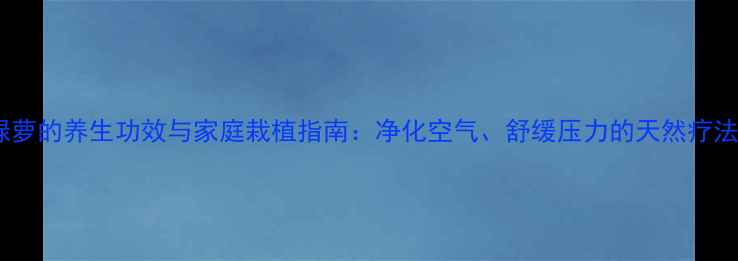 绿萝的养生功效与家庭栽植指南净化空气舒缓压力的天然疗法