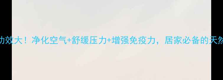 图片 绿萝的养生功效大！净化空气+舒缓压力+增强免疫力，居家必备的天然健康守护者