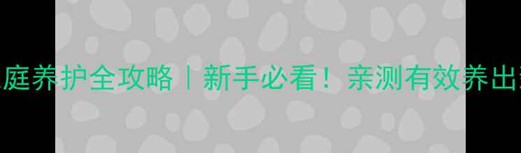 网纹草家庭养护全攻略新手必看亲测有效养出翡翠叶