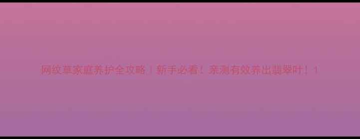 图片 网纹草家庭养护全攻略｜新手必看！亲测有效养出翡翠叶！1