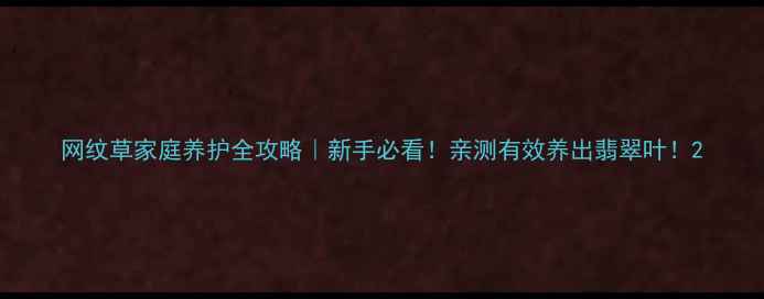 图片 网纹草家庭养护全攻略｜新手必看！亲测有效养出翡翠叶！2