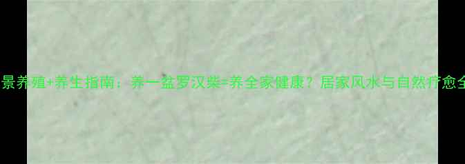 罗汉柴盆景养殖养生指南养一盆罗汉柴养全家健康居家风水与自然疗愈全攻略