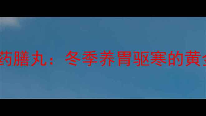 羊肉温补药膳丸冬季养胃驱寒的黄金食疗方