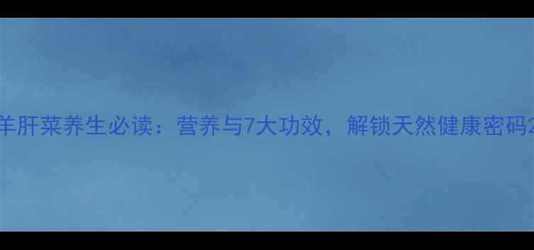 羊肝菜养生必读营养与7大功效解锁天然健康密码