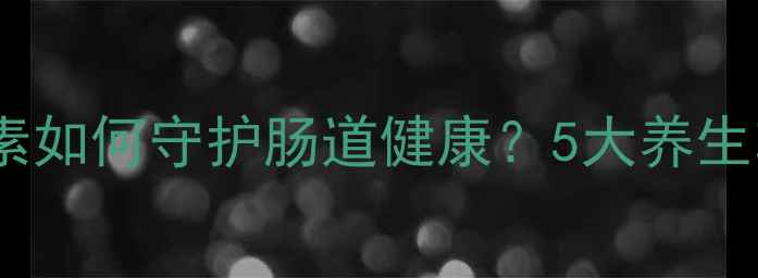 羟丙甲纤维素如何守护肠道健康5大养生功效与科学
