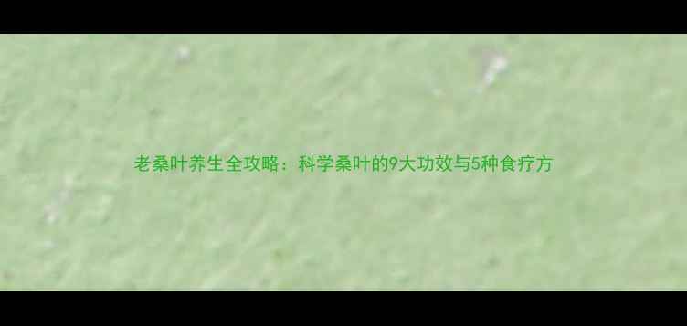 图片 老桑叶养生全攻略：科学桑叶的9大功效与5种食疗方