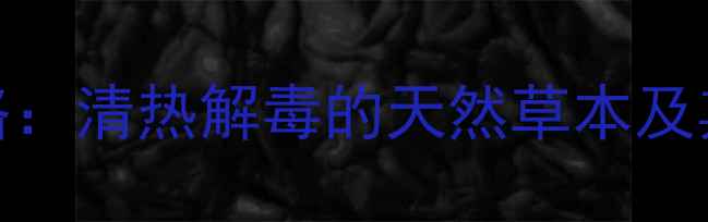 老虎舌草养生全攻略清热解毒的天然草本及其药食同源搭配指南