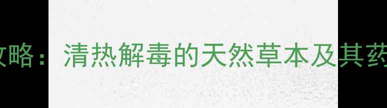 图片 老虎舌草养生全攻略：清热解毒的天然草本及其药食同源搭配指南1