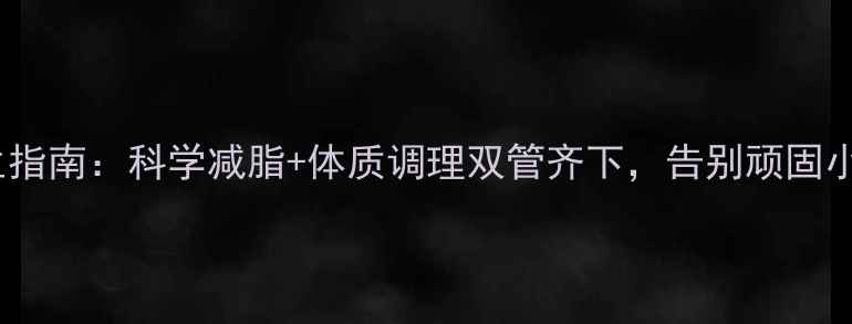 肚子减肥养生指南科学减脂体质调理双管齐下告别顽固小肚腩不反弹