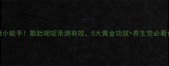 图片 肠道健康小能手！散肚嘧啶亲测有效，5大黄金功效+养生党必看食用指南
