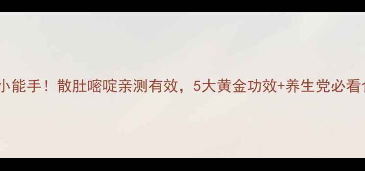 肠道健康小能手散肚嘧啶亲测有效5大黄金功效养生党必看食用指南