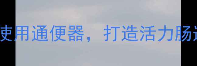 肠道健康新主张科学使用通便器打造活力肠道生态附深度指南