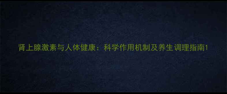 肾上腺激素与人体健康科学作用机制及养生调理指南